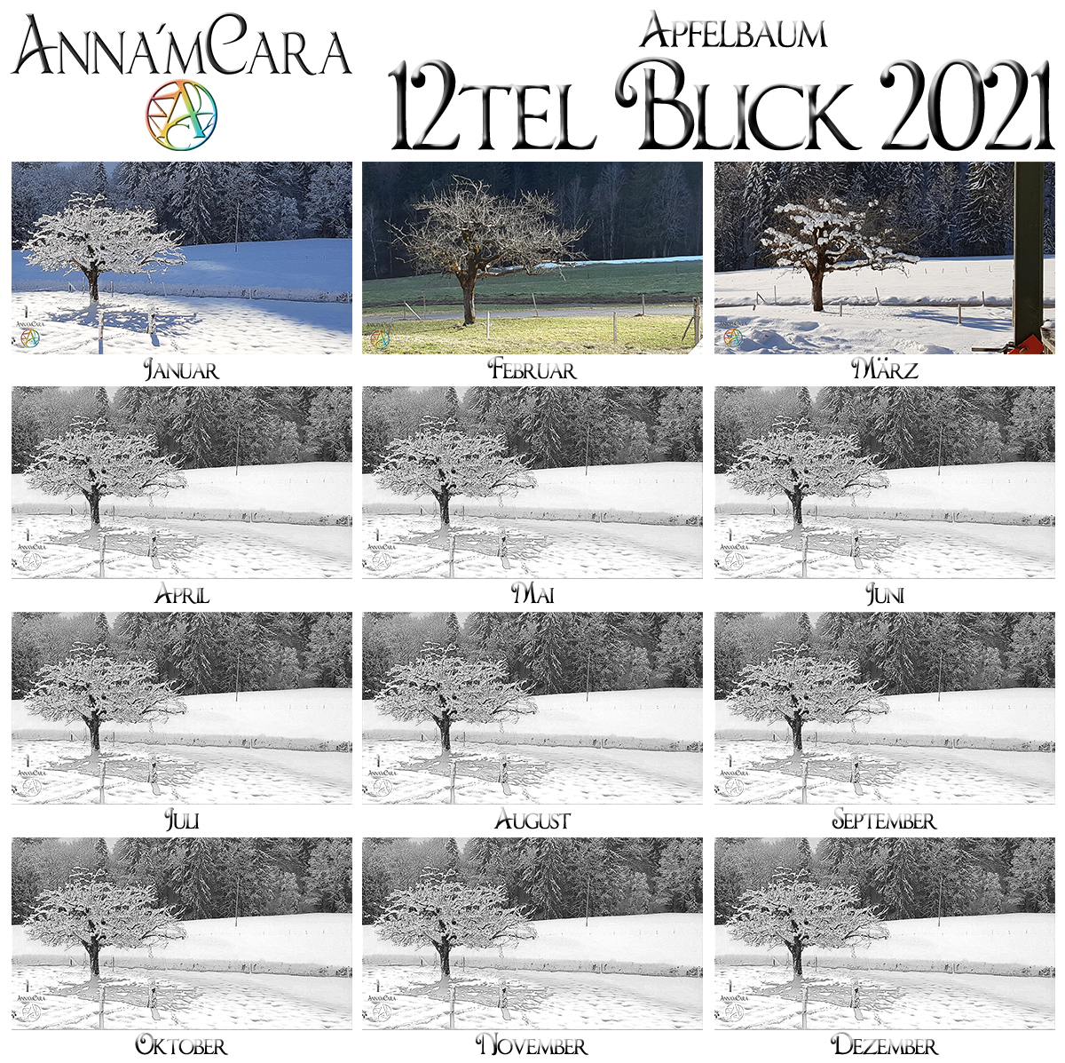 Anna'mCara-Blog - 12tel-Blick - Jahresblick - März - Apfelbaum