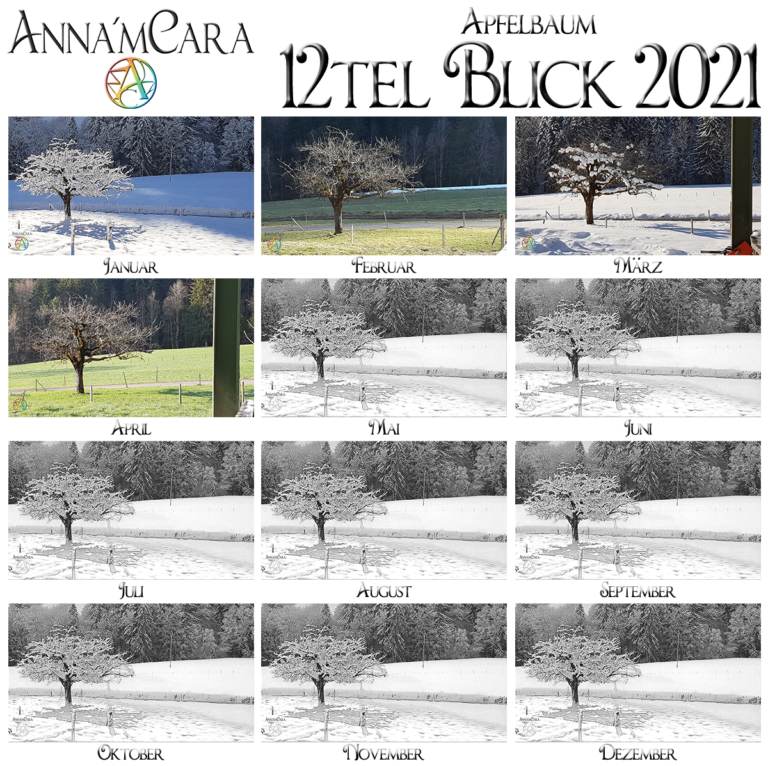 Apfelbaum – Anna'mCara