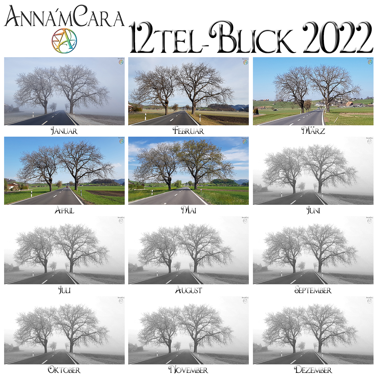 Anna'mCara-Blog - 12tel-Blick - Jahresblick Baumfreunde - Mai 2022