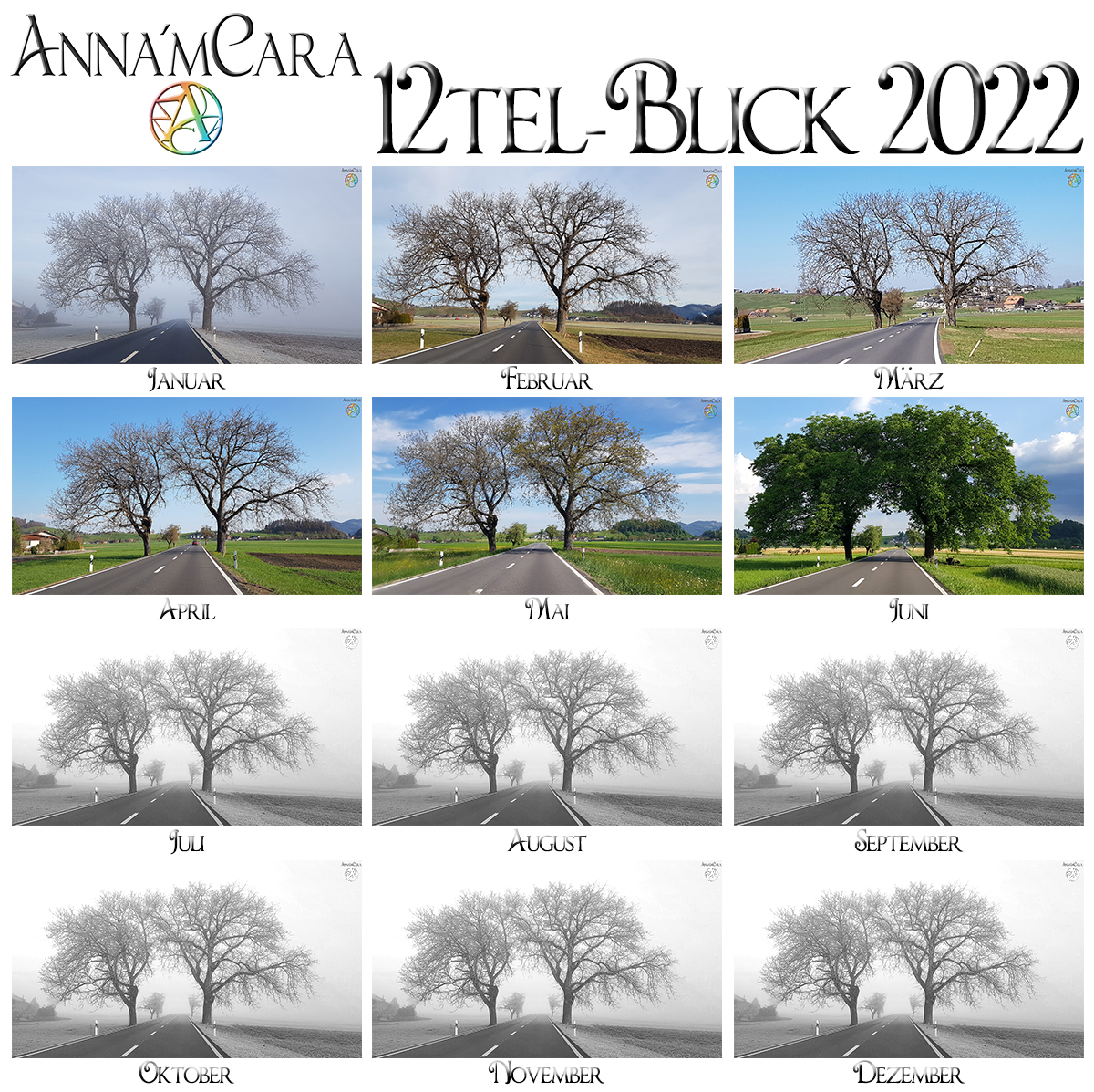 Anna'mCara-Blog - 12tel-Blick - Jahresblick Baumfreunde - Juni 2022