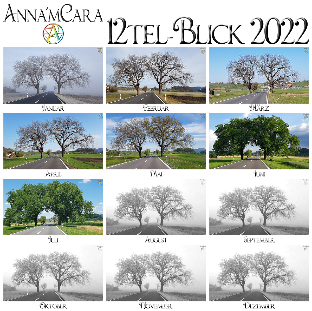 Anna'mCara-Blog - 12tel-Blick - Jahresblick Baumfreunde - Juli 2022