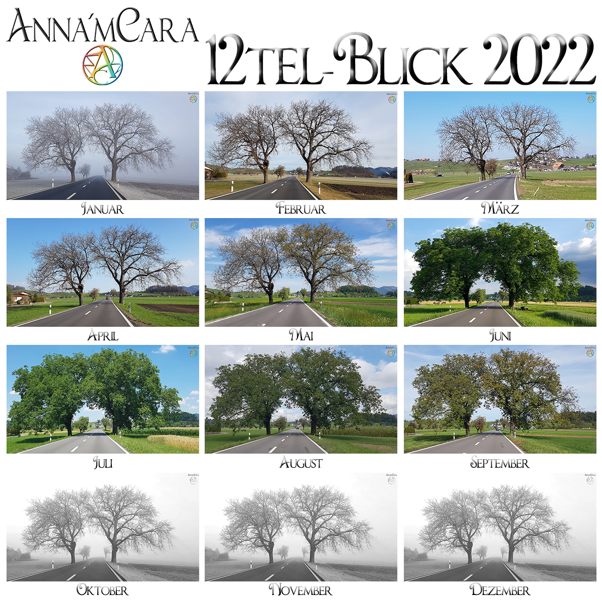 Anna'mCara-Blog - 12tel-Blick - Jahresblick Baumfreunde - September 2022