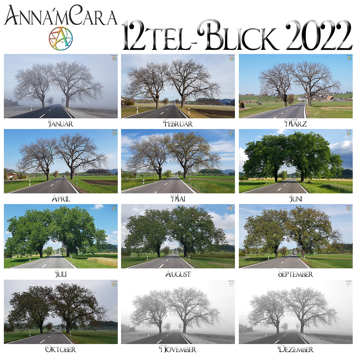 Anna'mCara-Blog - 12tel-Blick - Jahresblick Baumfreunde - Oktober 2022