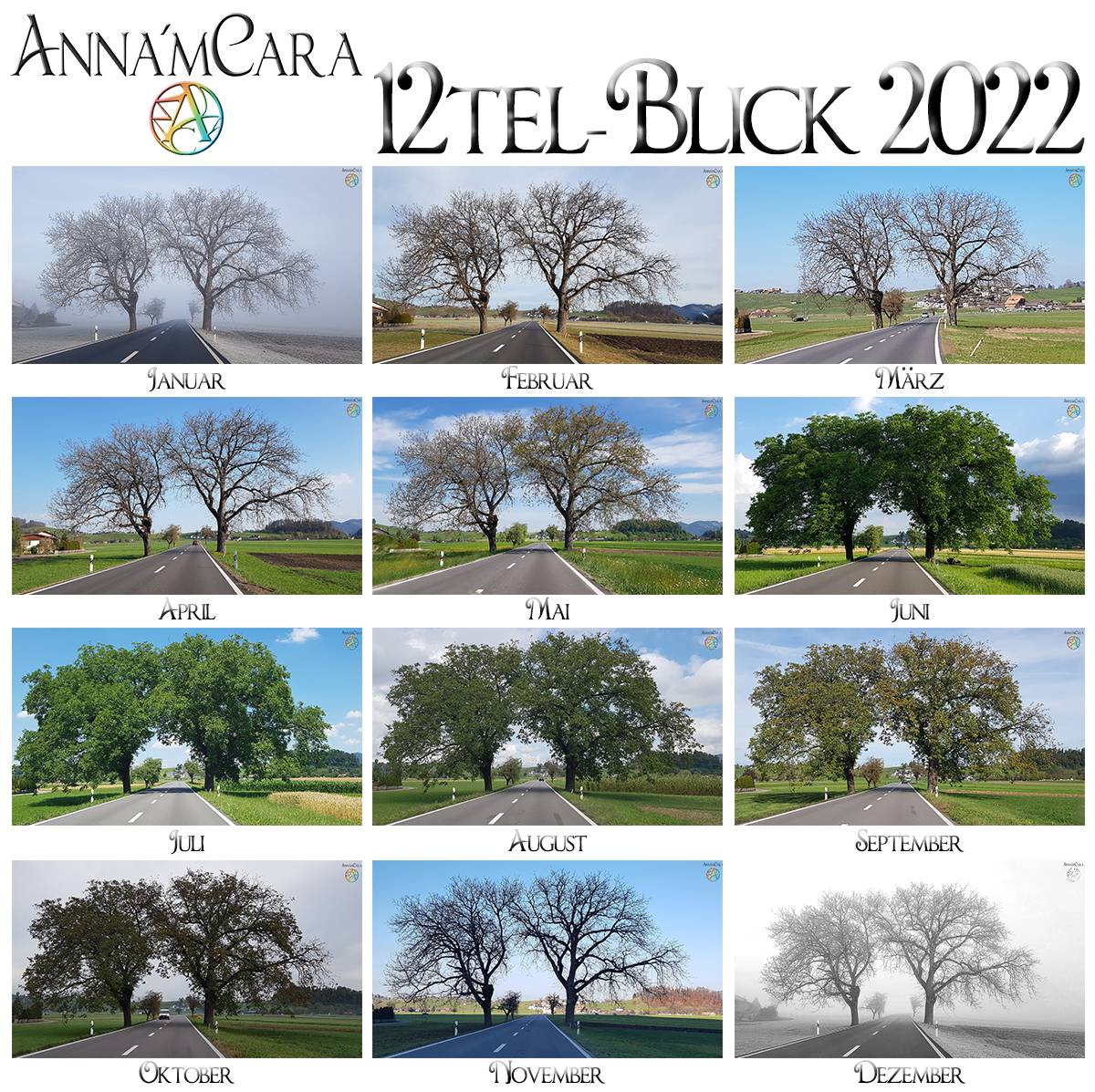 Anna'mCara-Blog - 12tel-Blick - Jahresblick Baumfreunde - November 2022