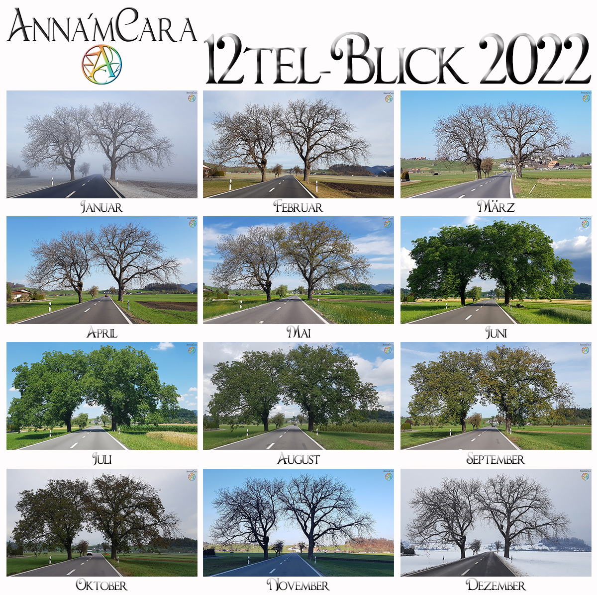 Anna'mCara-Blog - 12tel-Blick - Jahresblick Baumfreunde - Dezember 2022