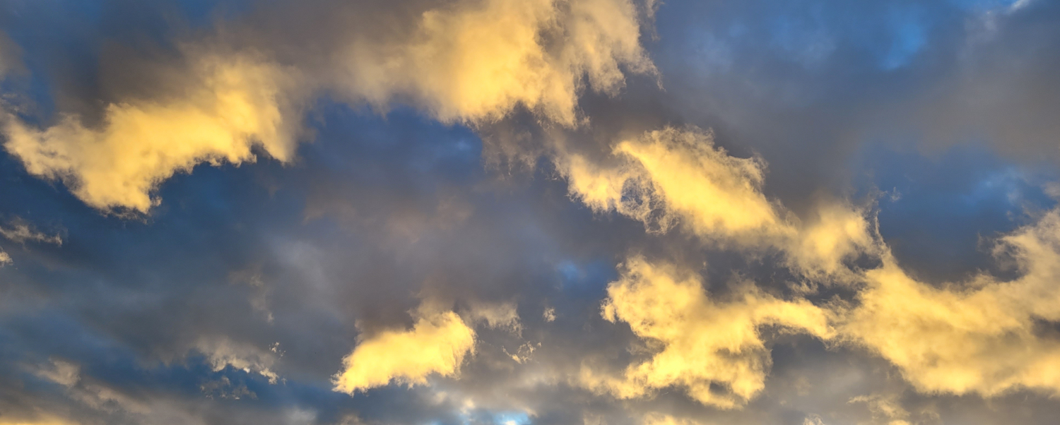 AnnamCara-Newsletter-Headerbild-Neuanfang