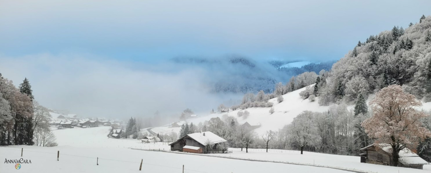 AnnamCara-Newsletter-Headerbild-Abschied