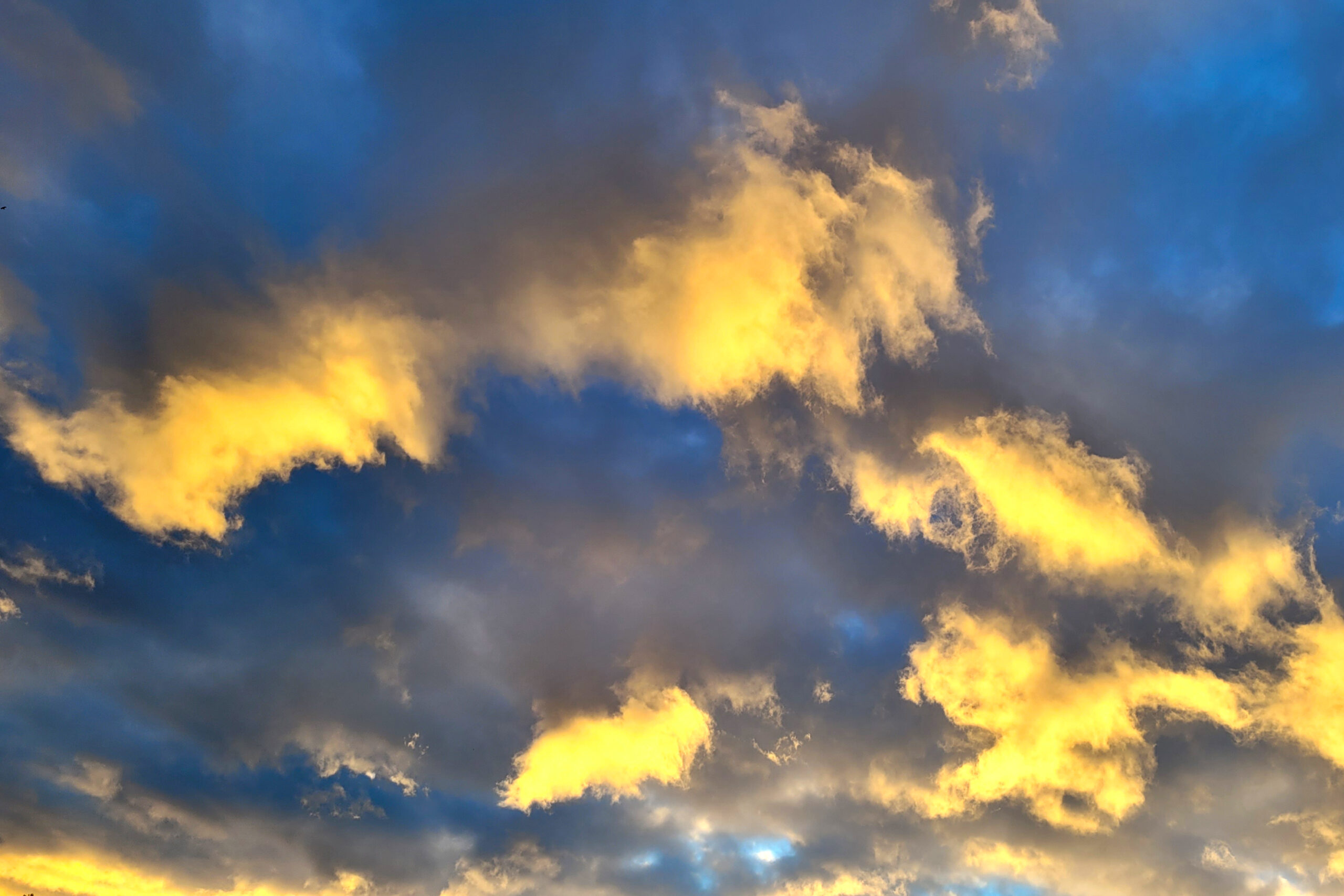 Foto - Anna'mCara - Praxisräume - Praxis in Courtételle