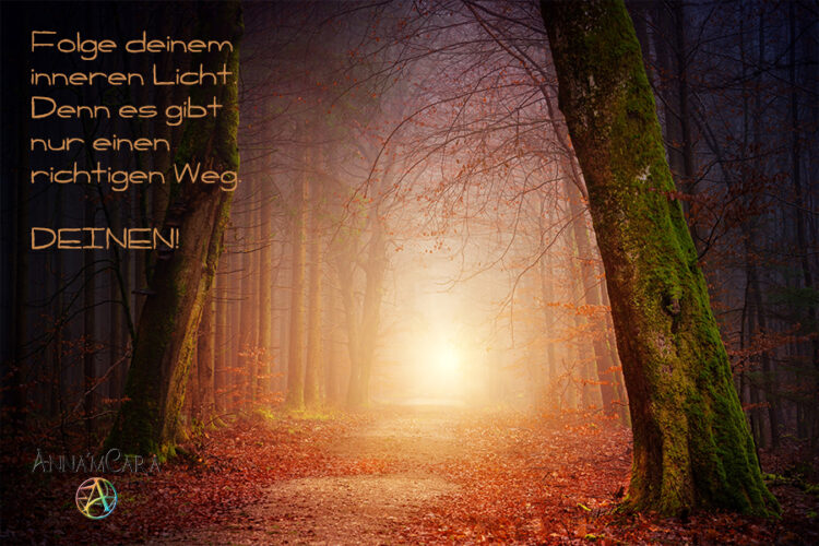 Anna'mCara - Weisheit - DEIN Weg